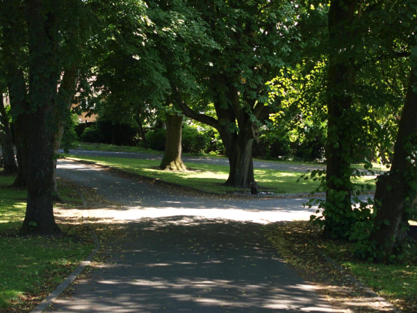 Summer in Ramsbottom Cemetery 
17-Buildings and the Urban Environment-05-Street Scenes-007-Cemetery Road
Keywords: 2021