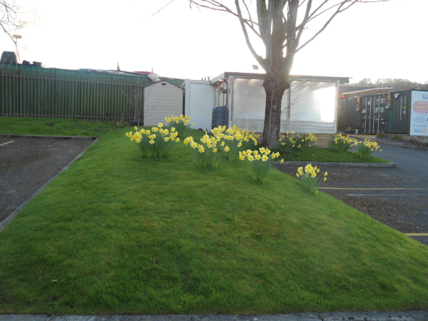 Spring Daffodils Christ Church 
06-Religion-01-Church Buildings-014-Christ Church Baptist Methodist, Great Eaves Road, Ramsbottom
Keywords: 2023