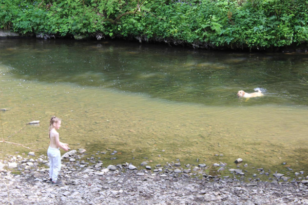 Messing about in River Irwell in Nuttall ParkMessing about in River Irwell
14-Leisure-01-Parks and Gardens-001-Nuttall Park General
Keywords: 2023