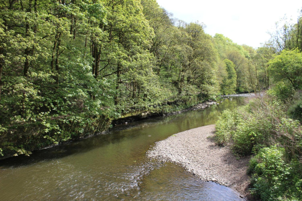 River Irwell from the bridge leading out of Nuttall Par
14-Leisure-01-Parks and Gardens-001-Nuttall Park General
Keywords: 2023