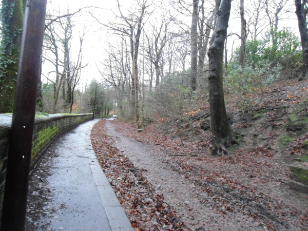 Path from Park looking towards Nuttall Hall Cottages 
14-Leisure-01-Parks and Gardens-001-Nuttall Park General
Keywords: 2023