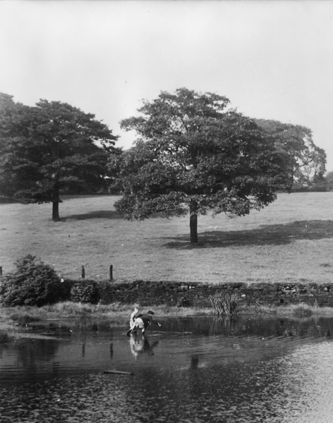 Carr Bank Area, Devil Hole Lodge and Rawcliff'es Field (now a housing estate built mid-1960s (2 pictures)
17-Buildings and the Urban Environment-05-Street Scenes-006-Carr Street and Tanners area
Keywords: 1985