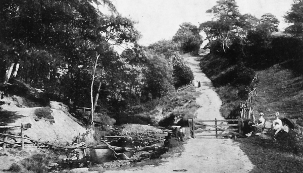 Redisher Woods with picnickers. Posted Ramsbottom 3/9/1903 (Also in archive a coloured photo of same region without picknickers ) - Holcombe Brook area
17-Buildings and the Urban Environment-05-Street Scenes-013-Holcombe Brook Area
Keywords: 1945