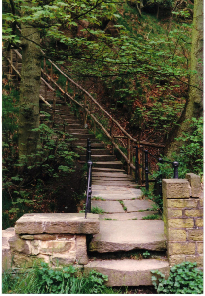 Jacobs Ladder
14-Leisure-01-Parks and Gardens-001-Nuttall Park General
Keywords: 1987