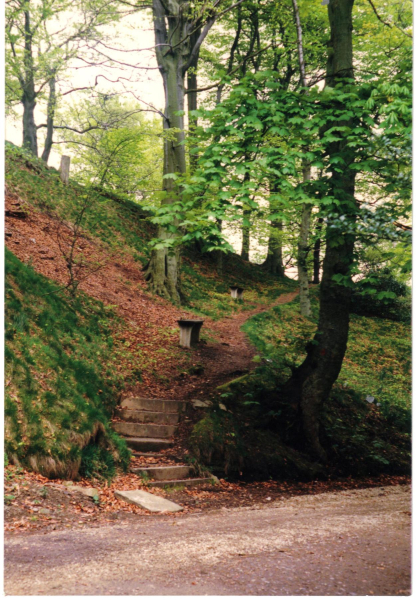 Nuttall footpaths and seats 
17-Buildings and the Urban Environment-05-Street Scenes-019-Nuttall area
Keywords: 1987