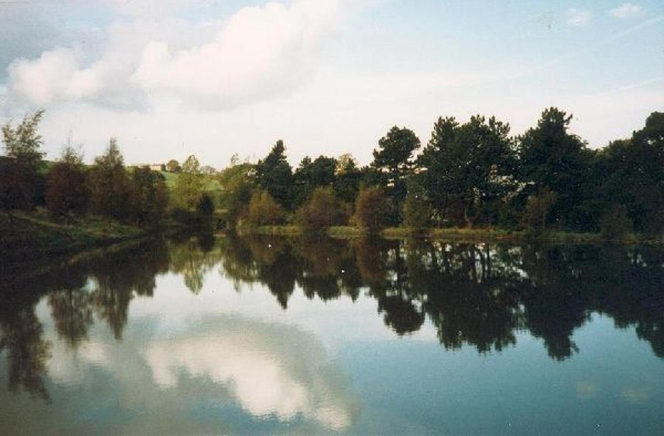 Lodge at Stubbins
17-Buildings and the Urban Environment-05-Street Scenes-027-Stubbins Lane and Stubbins area
Keywords: 1987