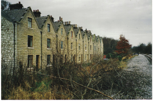 Tree felling by the railway 
16-Transport-03-Trains and Railways-000-General
Keywords: 1989