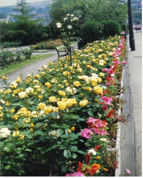 St Pauls roses on Bridge St
06-Religion-01-Church Buildings-001-Church of England  - St. Paul, Bridge Street, Ramsbottom
Keywords: 1989