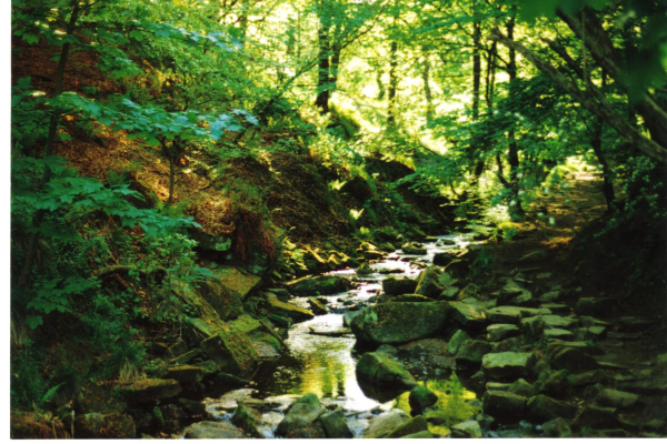 Holcome Brook at Robin road
17-Buildings and the Urban Environment-05-Street Scenes-013-Holcombe Brook Area
Keywords: 1990