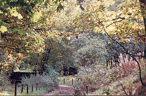 Filename=RHSDC21-COMP-HPC1990GE-091.jpg
Filesize=475KiB
Dimensions=1800x1189
Date added=Feb 07, 2026 RHSDC21-COMP-HPC1990GE-091.jpg