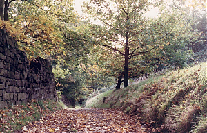 Filename=RHSDC21-COMP-HPC1990GE-095.jpg
Filesize=415KiB
Dimensions=1800x1166
Date added=Feb 07, 2026 RHSDC21-COMP-HPC1990GE-095.jpg