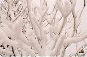 Filename=RHSDC21-COMP-HPC1991OP-004.jpg
Filesize=107KiB
Dimensions=1800x1191
Date added=Feb 07, 2026 RHSDC21-COMP-HPC1991OP-004.jpg