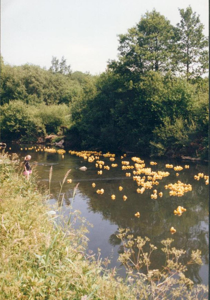 Duck Race Nuttall Park
14-Leisure-01-Parks and Gardens-001-Nuttall Park General
Keywords: 1992