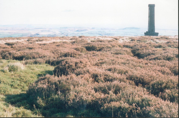 Holcombe Heather survey
18-Agriculture and the Natural Environment-03-Topography and Landscapes-001-Holcombe Hill
Keywords: 1992