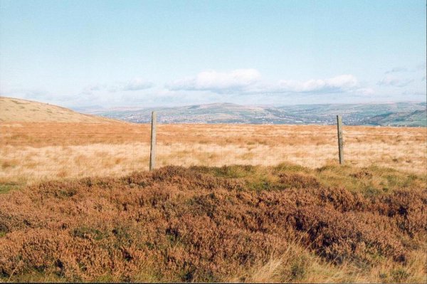 Holcombe Heather survey
18-Agriculture and the Natural Environment-03-Topography and Landscapes-001-Holcombe Hill
Keywords: 1992