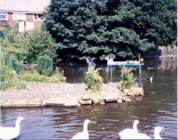 Heron ready for take off Springwood Lodge
17-Buildings and the Urban Environment-05-Street Scenes-006-Carr Street and Tanners area
Keywords: 1994