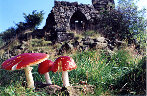 Filename=RHSDC21-COMP-HPC1994TC-024.jpg
Filesize=347KiB
Dimensions=1800x1181
Date added=Feb 07, 2026 RHSDC21-COMP-HPC1994TC-024.jpg