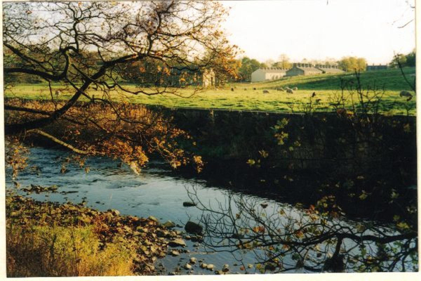 River Irwell at Chatterton
17-Buildings and the Urban Environment-05-Street Scenes-032 Chatterton Area
Keywords: 1995