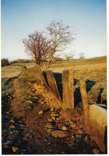 Waterside 
18-Agriculture and the Natural Environment-03-Topography and Landscapes-000-General
Keywords: 1995