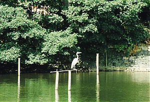 Filename=RHSDC21-COMP-HPC1995GE-072.jpg
Filesize=286KiB
Dimensions=1800x1233
Date added=Feb 07, 2026 RHSDC21-COMP-HPC1995GE-072.jpg