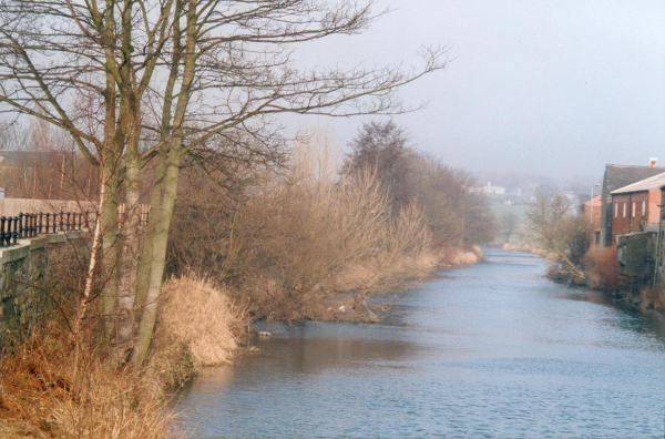 Stubbins from Bridge Street Riverside
17-Buildings and the Urban Environment-05-Street Scenes-027-Stubbins Lane and Stubbins area
Keywords: 1996