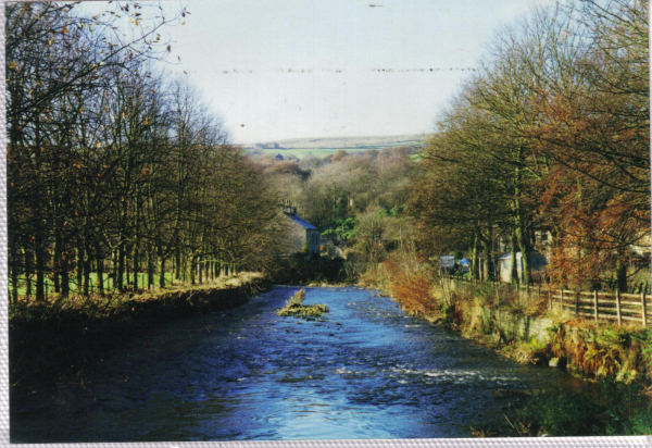 Irwell Autumn - The Irwell at Strongsty 
18-Agriculture and the Natural Environment-03-Topography and Landscapes-000-General
Keywords: 1997