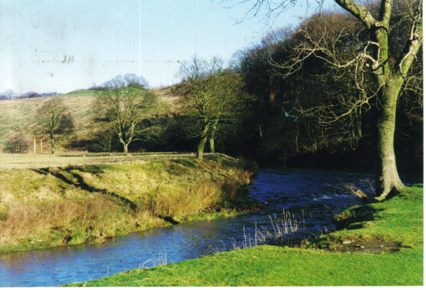 Irwell Sculpture Trail - Along the riverbank 
18-Agriculture and the Natural Environment-03-Topography and Landscapes-000-General
Keywords: 1997