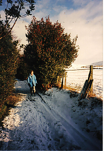 Filename=RHSDC21-COMP-HPC1997DL-001.jpg
Filesize=295KiB
Dimensions=1246x1800
Date added=Feb 07, 2026 RHSDC21-COMP-HPC1997DL-001.jpg