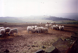 Filename=RHSDC21-COMP-HPC1998TC-006.jpg
Filesize=210KiB
Dimensions=1800x1217
Date added=Feb 07, 2026 RHSDC21-COMP-HPC1998TC-006.jpg