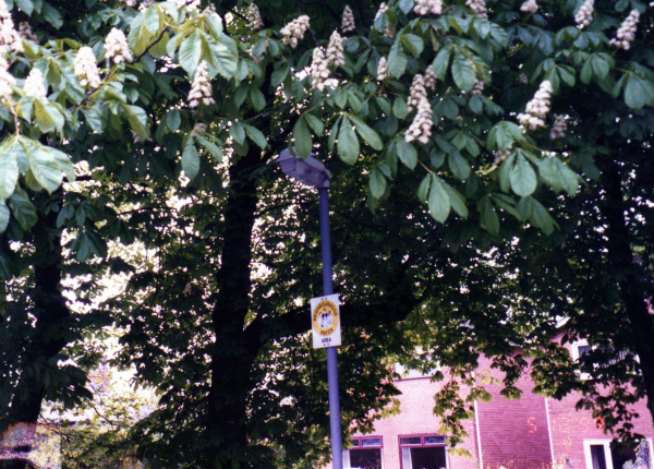 Neighbourhood Watch in Edenfield
17-Buildings and the Urban Environment-05-Street Scenes-011-Edenfield
Keywords: 1999