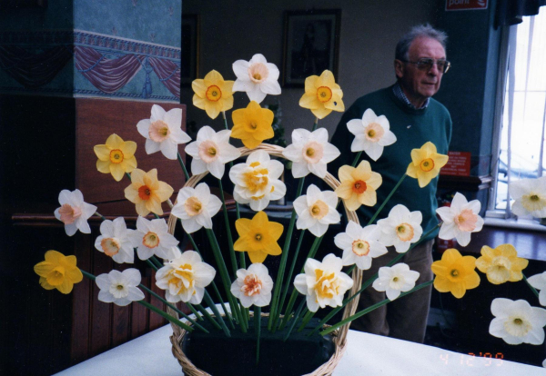 Daffodil exhibit at Ramsbottom Spring Flower Show
19-Animals and Plants-01-General-000-General

Keywords: 1999