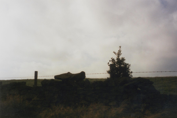 The Slipper Stone' near Grant's Tower
08- History-01-Monuments-001-Grant's Tower
Keywords: 1999