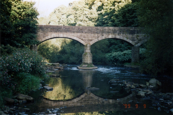 Refections of Gollinrod Viaduct - 1897 
17-Buildings and the Urban Environment-05-Street Scenes-019-Nuttall area
Keywords: 1999