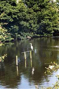 Filename=RHSDC21-COMP-HPC1999TC-001.jpg
Filesize=370KiB
Dimensions=1200x1800
Date added=Feb 07, 2026 RHSDC21-COMP-HPC1999TC-001.jpg