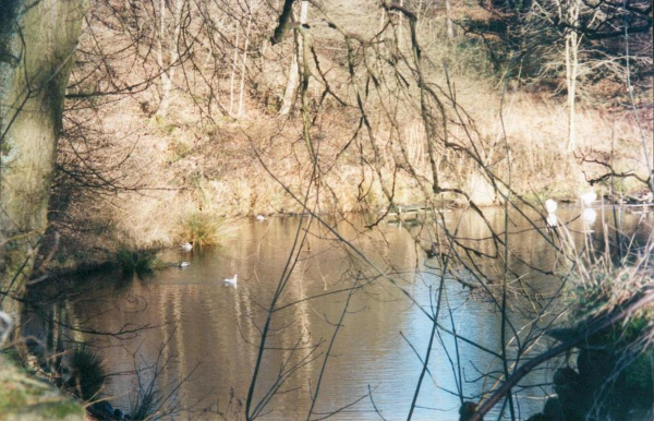 Top Lodge  Carr Bank 
17-Buildings and the Urban Environment-05-Street Scenes-006-Carr Street and Tanners area
Keywords: 2000