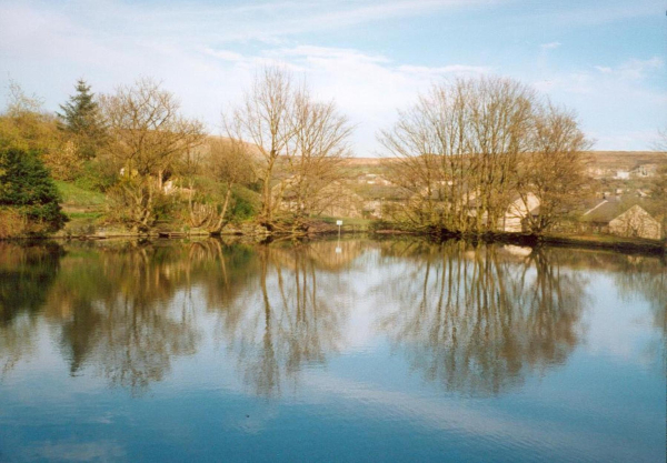 Devil Holes' Lodge - Spring 2000 
17-Buildings and the Urban Environment-05-Street Scenes-006-Carr Street and Tanners area
Keywords: 2000