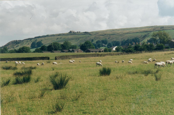 Looking North East from Edenfield to Valley View Farm
17-Buildings and the Urban Environment-05-Street Scenes-011-Edenfield
Keywords: 2001