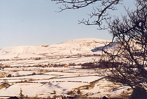 Filename=RHSDC21-COMP-HPC2001TC-030.JPG
Filesize=316KiB
Dimensions=1800x1213
Date added=Feb 07, 2026 RHSDC21-COMP-HPC2001TC-030.JPG