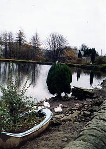 Filename=RHSDC21-COMP-HPC2002TC-007.JPG
Filesize=253KiB
Dimensions=1287x1800
Date added=Feb 07, 2026 RHSDC21-COMP-HPC2002TC-007.JPG