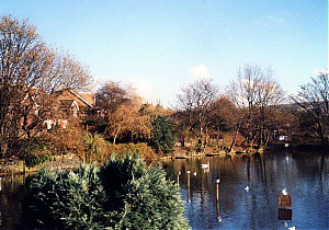 Filename=RHSDC21-COMP-HPC2002TC-009.JPG
Filesize=280KiB
Dimensions=1800x1260
Date added=Feb 07, 2026 RHSDC21-COMP-HPC2002TC-009.JPG