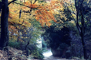 Filename=RHSDC21-COMP-HPC2002TC-014.JPG
Filesize=299KiB
Dimensions=1800x1194
Date added=Feb 07, 2026 RHSDC21-COMP-HPC2002TC-014.JPG