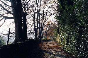 Filename=RHSDC21-COMP-HPC2002TC-018.JPG
Filesize=293KiB
Dimensions=1800x1191
Date added=Feb 07, 2026 RHSDC21-COMP-HPC2002TC-018.JPG