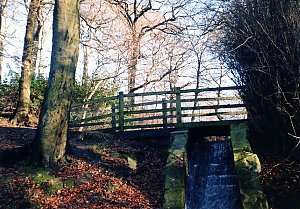 Filename=RHSDC21-COMP-HPC2002TC-019.JPG
Filesize=331KiB
Dimensions=1800x1257
Date added=Feb 07, 2026 RHSDC21-COMP-HPC2002TC-019.JPG