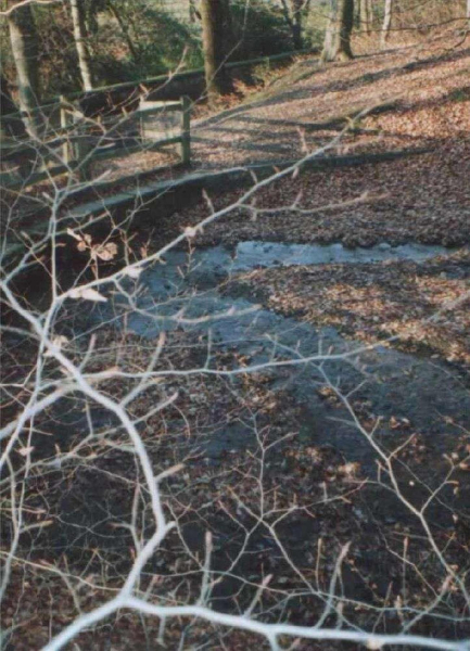 From Nuttall Hall Road - Autumn 2003 
17-Buildings and the Urban Environment-05-Street Scenes-018-Nuttall Hall Road Cottages
Keywords: 2003