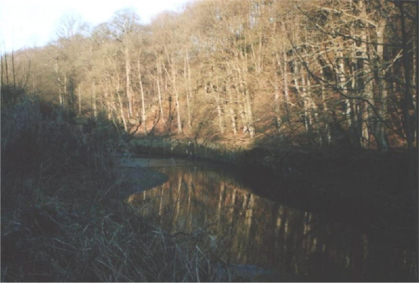 Reflections at Nuttall Village - full river view 
17-Buildings and the Urban Environment-05-Street Scenes-019-Nuttall area
Keywords: 2004