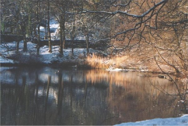 A touch of snow - December 2004 
to be catalogued
Keywords: 2004