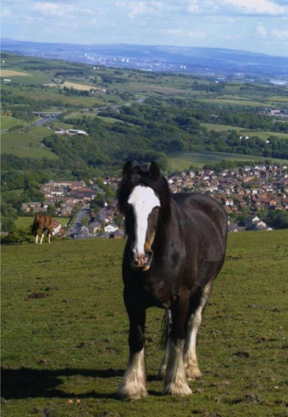 View from Holcombe Hill 
18-Agriculture and the Natural Environment-03-Topography and Landscapes-001-Holcombe Hill
Keywords: 2005
