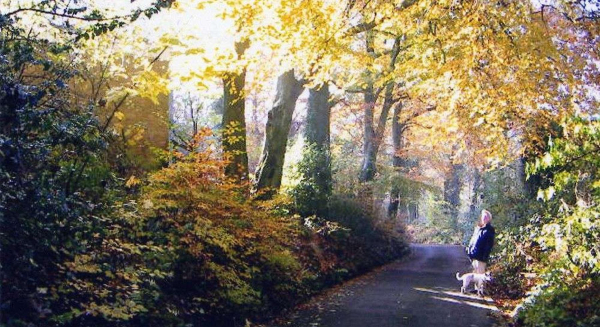 Autumn views near The Priory - Summerseat
17-Buildings and the Urban Environment-05-Street Scenes-028-Summerseat area
Keywords: 2005