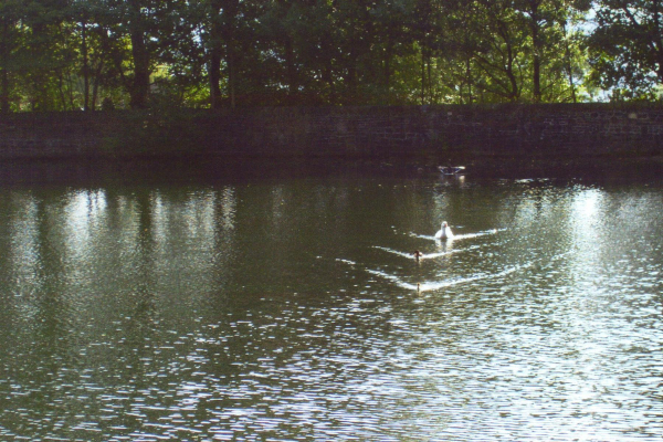 Devil's Hole Lodge 
17-Buildings and the Urban Environment-05-Street Scenes-006-Carr Street and Tanners area
Keywords: 2006