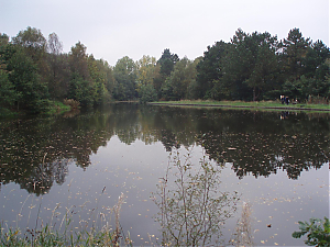 Filename=RHSDC21-COMP-HPC2006TC-009.JPG
Filesize=253KiB
Dimensions=1800x1350
Date added=Feb 07, 2026 RHSDC21-COMP-HPC2006TC-009.JPG